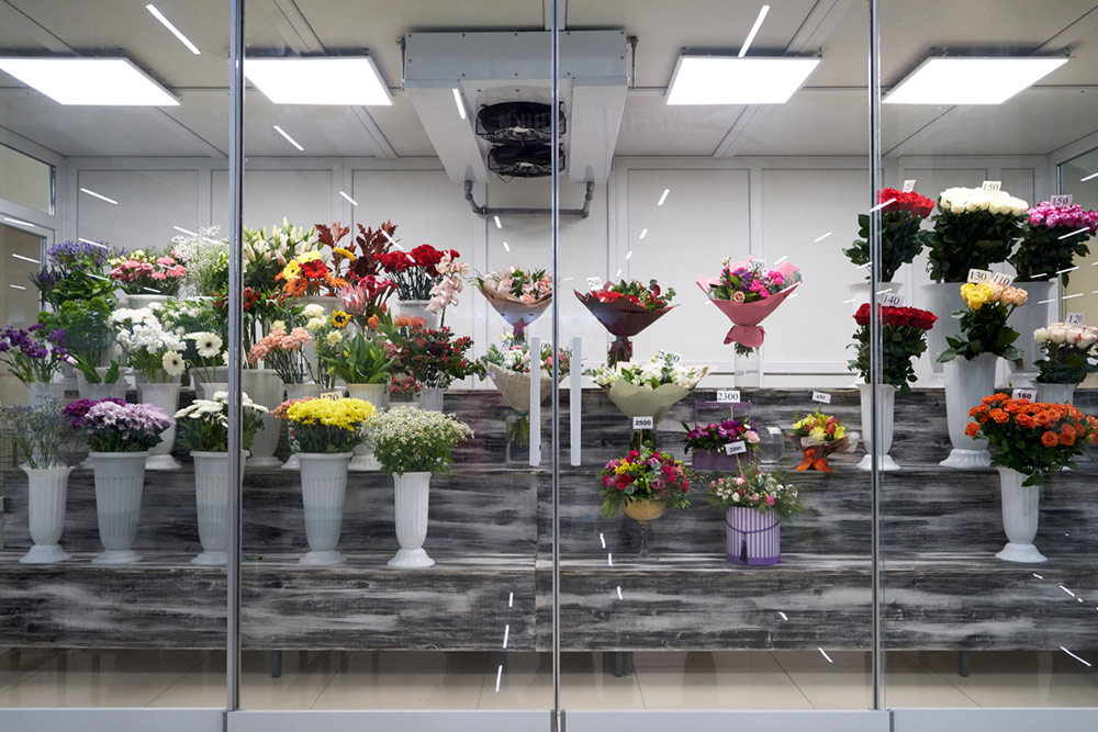 Dekoratives Bild Dekoratives Bild